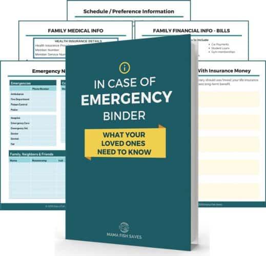 mergency documents ICE Binder