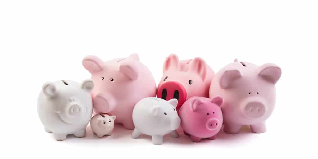 multiple piggy banks to hold sinking funds savings