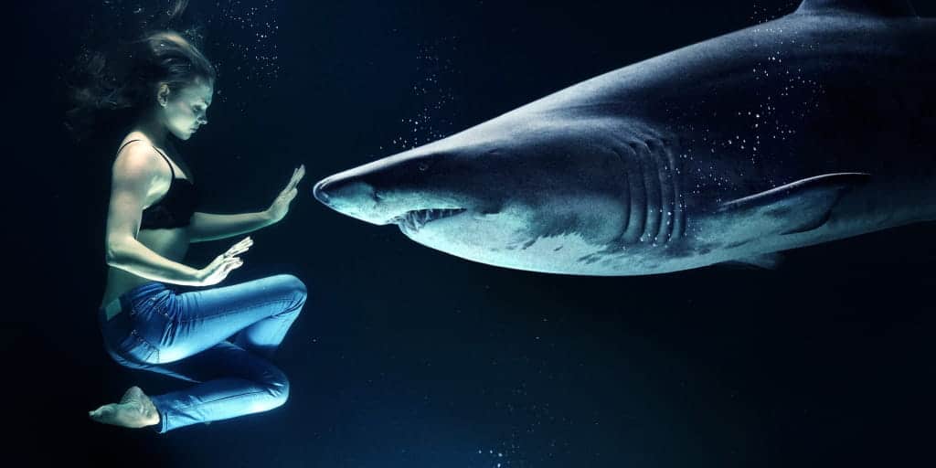 women encountering a shark in the water