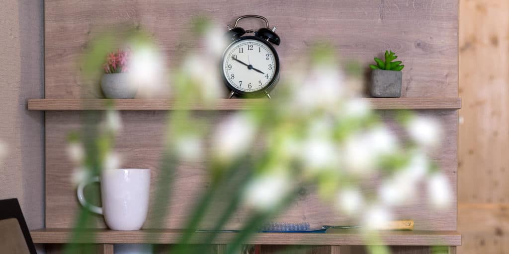 Green plant and clock with books on the white background