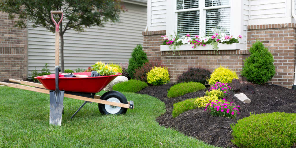 wheelbarrow standing on a neat manicured green lawn alongside landscaping of a flowerbed while planting a flower garden around a house with fresh spring plants to improve curb appeal